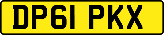 DP61PKX