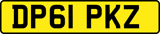 DP61PKZ