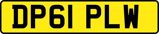 DP61PLW