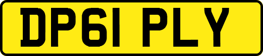 DP61PLY