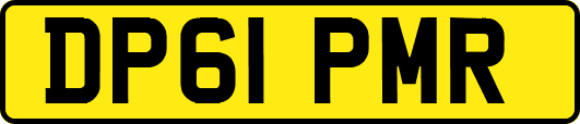 DP61PMR