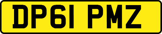 DP61PMZ