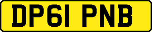 DP61PNB