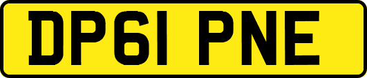 DP61PNE