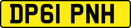DP61PNH