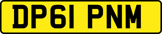 DP61PNM