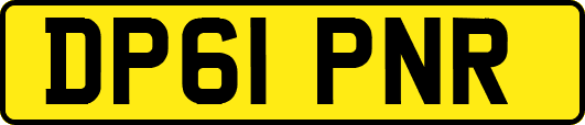 DP61PNR