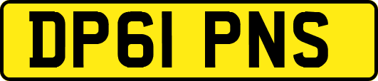 DP61PNS