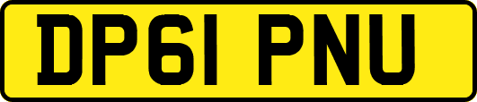DP61PNU