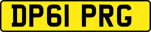 DP61PRG