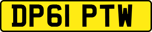 DP61PTW