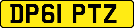 DP61PTZ