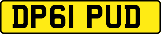 DP61PUD