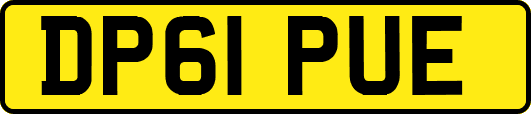 DP61PUE