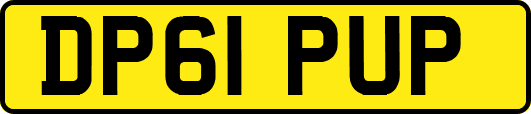 DP61PUP