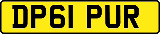 DP61PUR