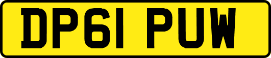 DP61PUW