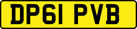 DP61PVB