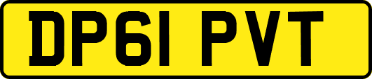 DP61PVT