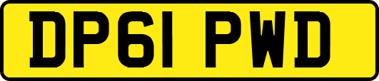 DP61PWD