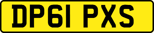 DP61PXS