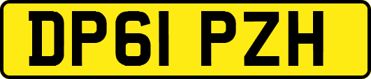 DP61PZH