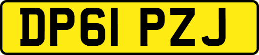 DP61PZJ