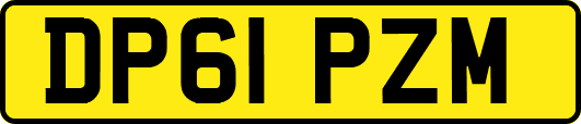 DP61PZM