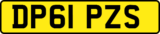 DP61PZS