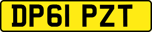 DP61PZT