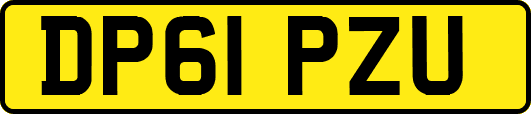 DP61PZU