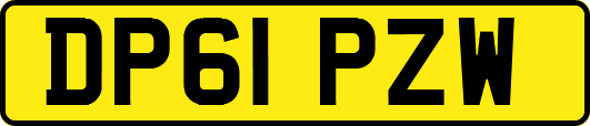DP61PZW