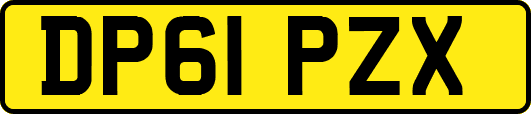 DP61PZX