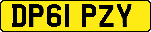 DP61PZY
