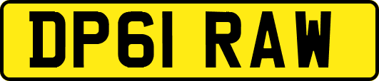 DP61RAW