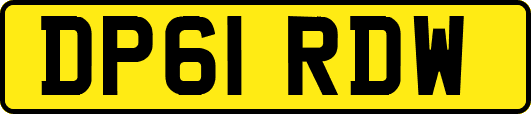 DP61RDW