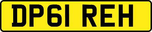 DP61REH