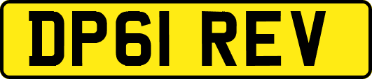 DP61REV
