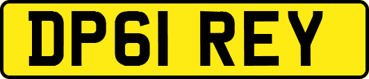 DP61REY