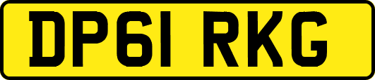 DP61RKG