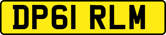 DP61RLM