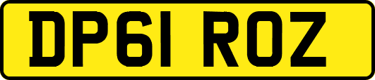 DP61ROZ