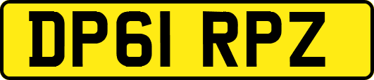 DP61RPZ