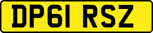 DP61RSZ