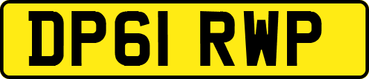 DP61RWP