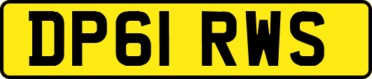 DP61RWS