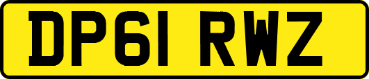 DP61RWZ