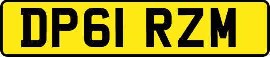 DP61RZM