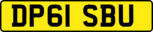 DP61SBU