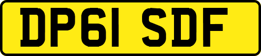 DP61SDF